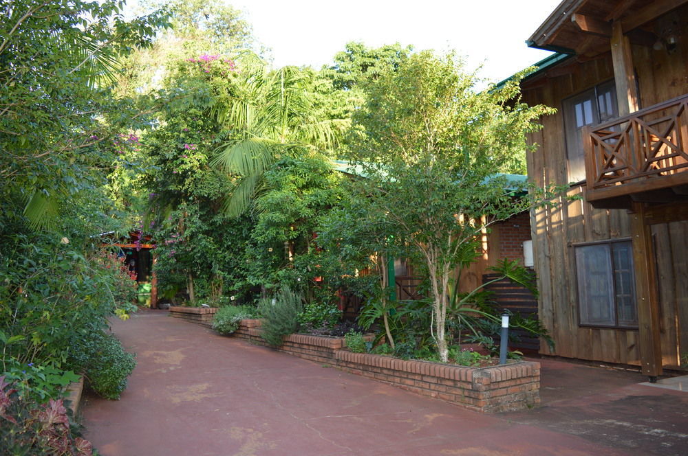 Palo Rosa * Puerto Iguazú